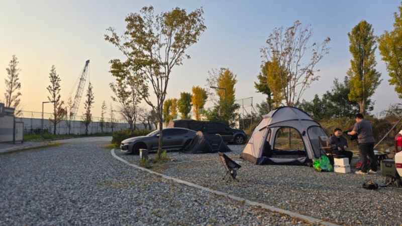 철새는 날아가고 in 평택항국민여가캠핑장(25.11.06~07)