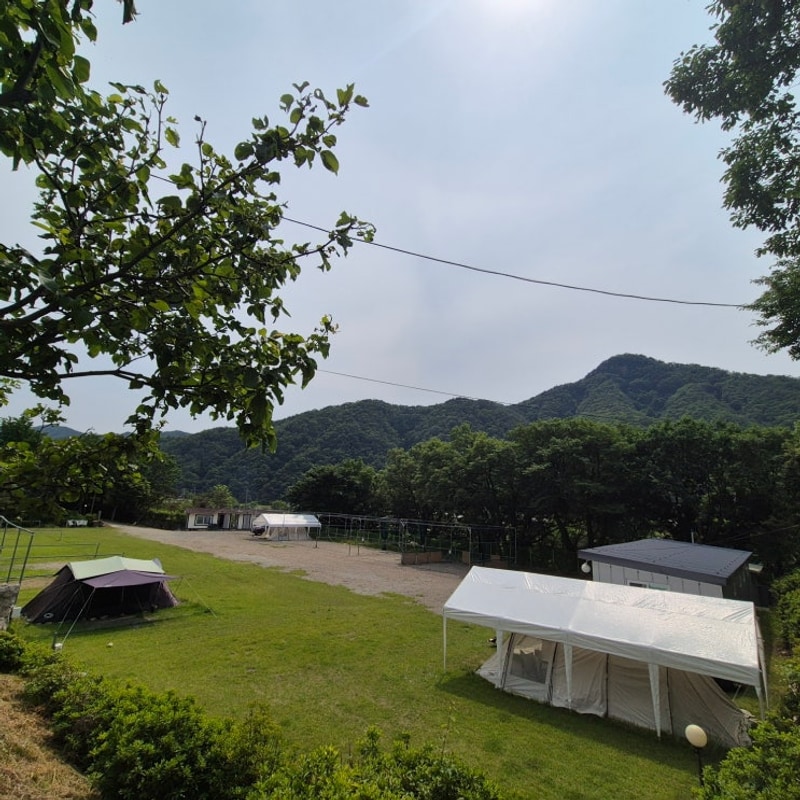 강원도 원주 캠핑장 아이랑 가볼만한곳  산수향야영장...