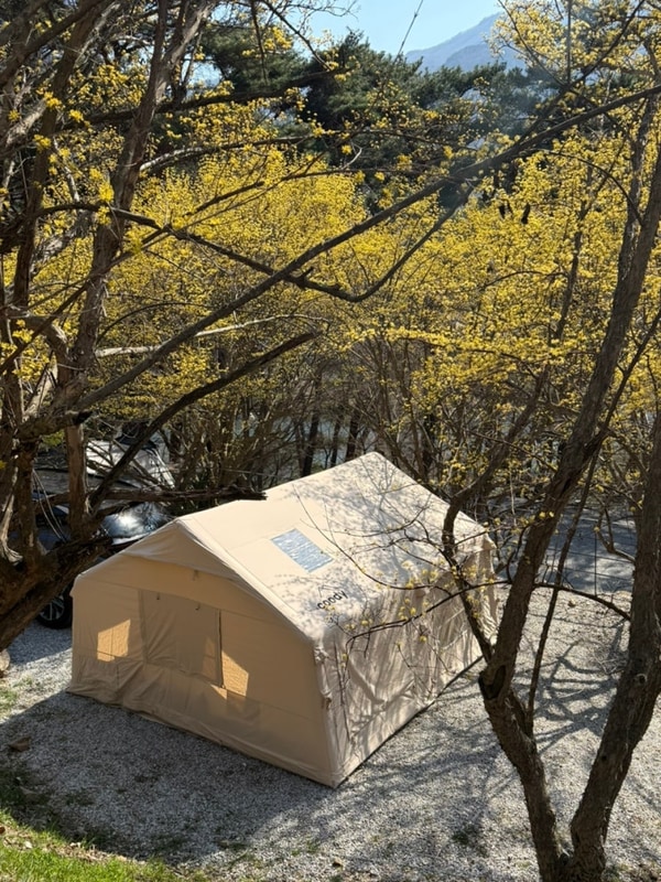 #30 구례 섬지캠핑장