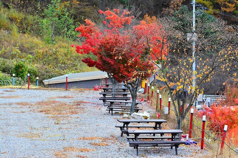 더엠캠프 시설 사진 24