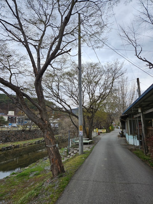 공주 계곡 캠핑장 이용 후기