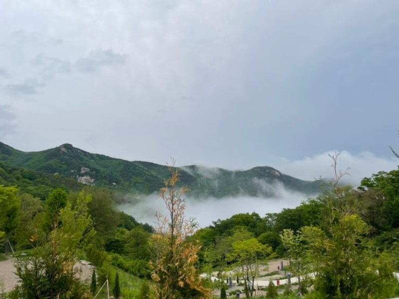 [합천여행] 아이와 함께한 황매산숲속야영장 후기(+황매산철쭉)