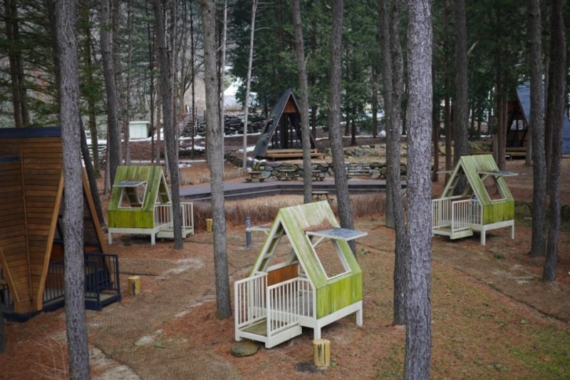 임실 성수산 왕의숲... 2/4 - 왕의숲 국민여가캠핑장 카라반과...