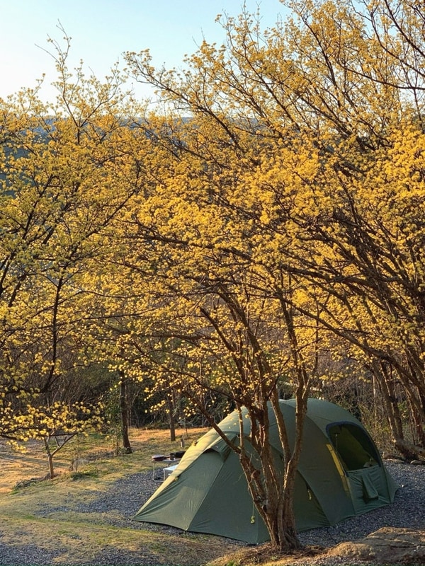 구례 지리산오토캠핑장(24.03.22) I 커플B-1 사이트