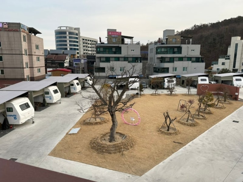 [경주/감포](솔직후기)“감포송아캠핑장” 경주에 바다가?? 바다...