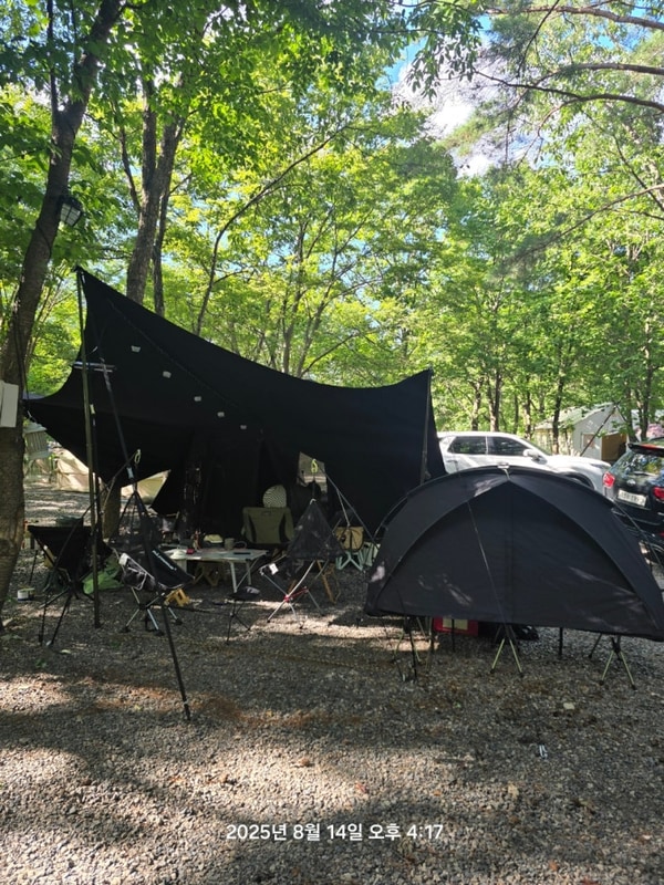 25.08.14~16 청도 참나무숲오토캠핑장