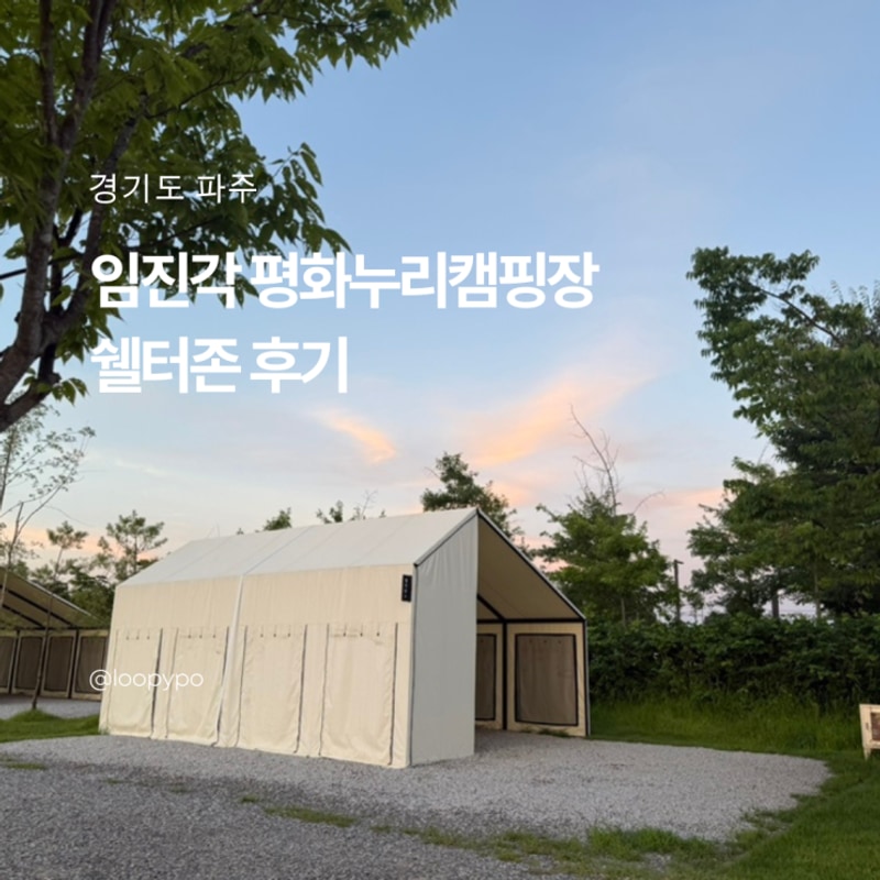 서울근교 캠핑장 파주 임진각 평화누리캠핑장 카라반 가을캠핑