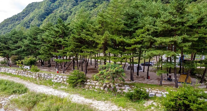 한계2리 솔밭야영장 시설 사진 11