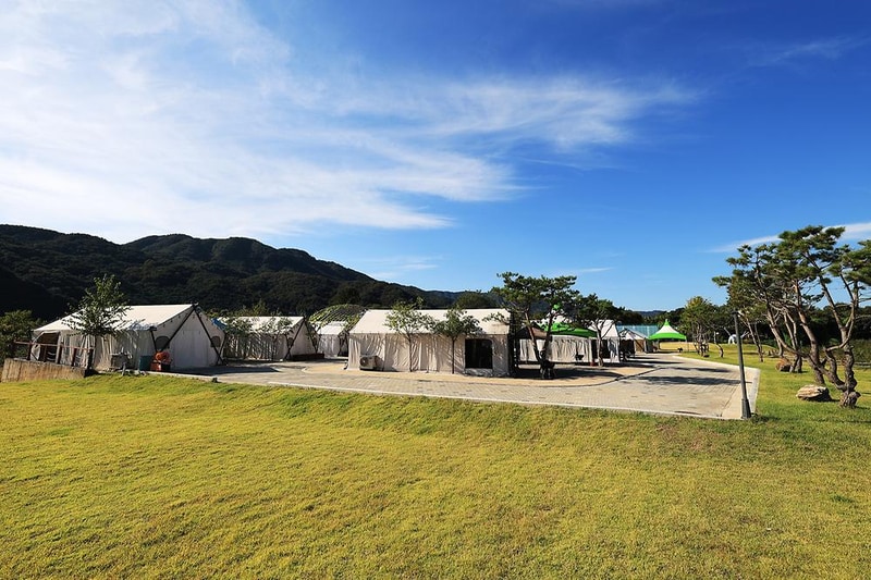 리버위드 글램핑 시설 사진 1