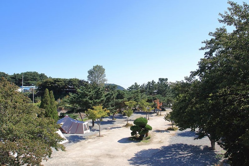 늘푸른캠핑장 시설 사진 1