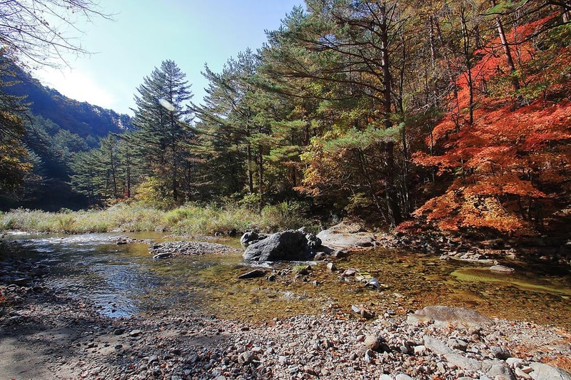 금강송 체험 야영장 시설 사진 6