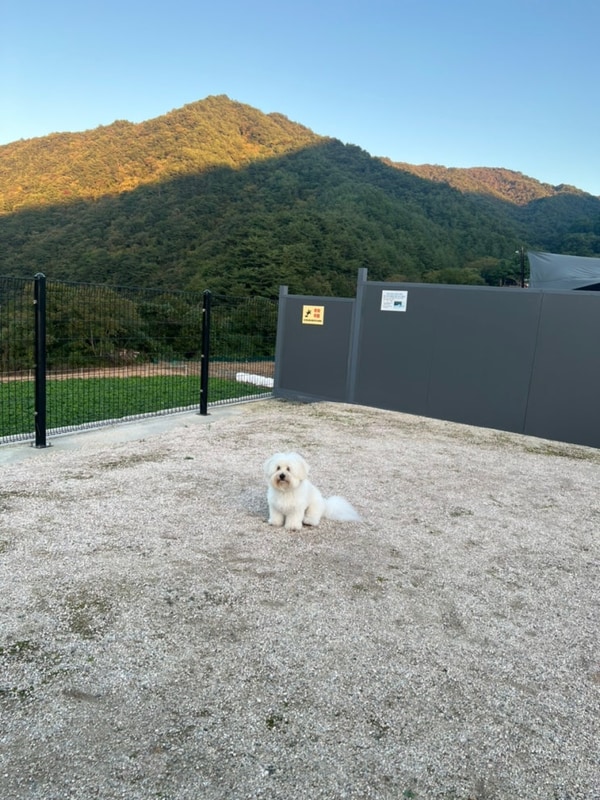 #23 강원도 인제, 독차지 캠핑장, 2025년 10월 첫 주 추석연휴...