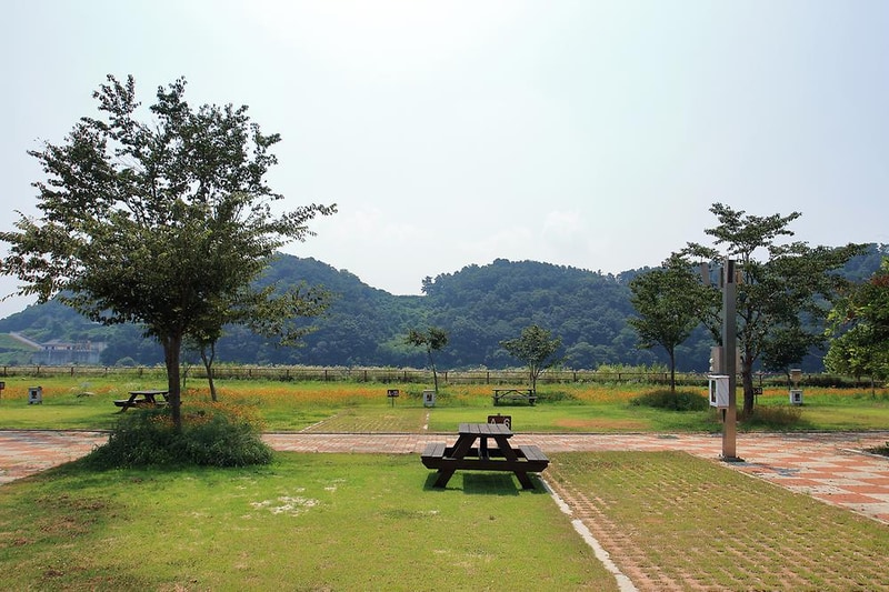 청양 동강리 오토캠핑장 시설 사진 4