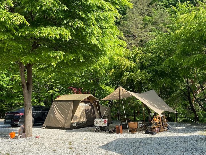 봉화별캠핑장 대표 사진