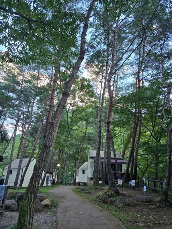지리산국립공원 산청 내원야영장 하우스 이용 후기, 시설이...