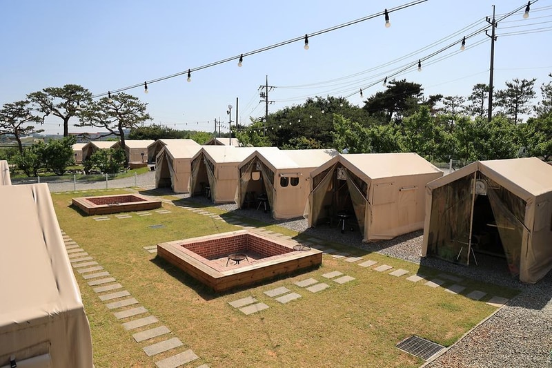 안석관광농원 시설 사진 16