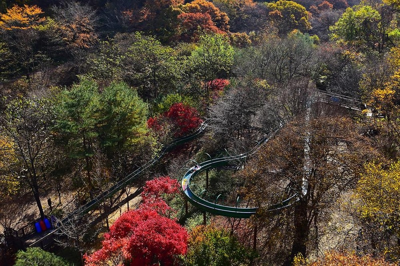 금산산림문화타운 시설 사진 18