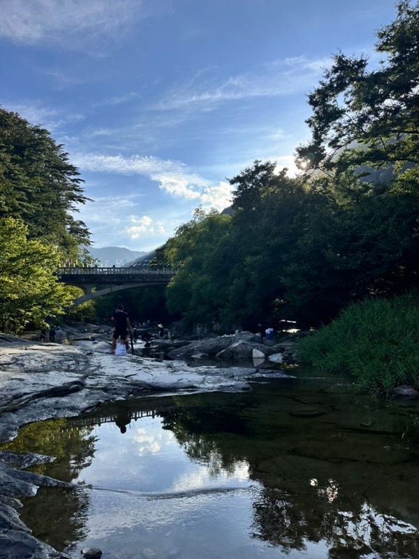 계곡 물놀이로 최고인 동해 무릉계곡힐링캠핑장, 예약 및...