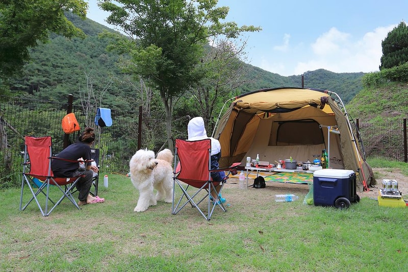 트리독스 애견전용캠핑장 시설 사진 5