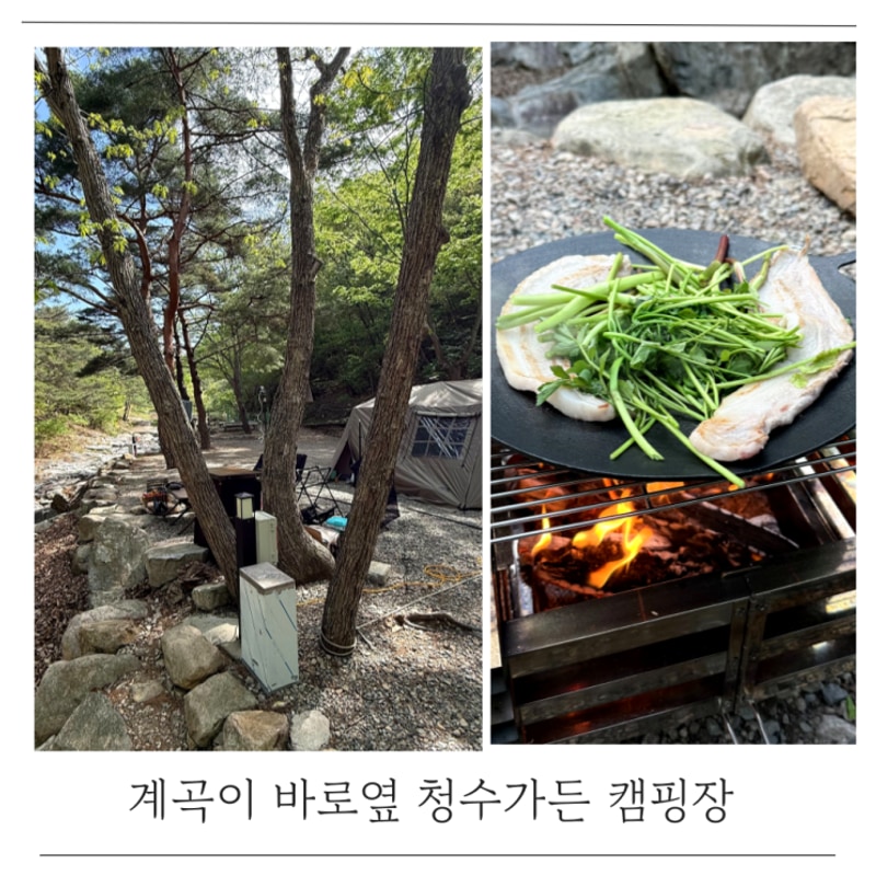 자연 속 힐링 양산 청수가든 캠핑장 8번 사이트 후기