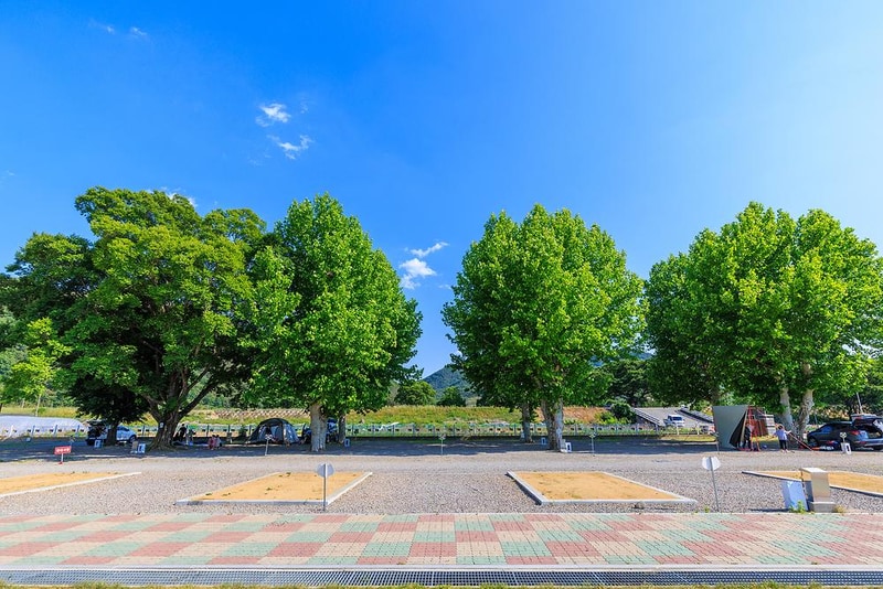 안림딸기마을 캠핑장 시설 사진 14