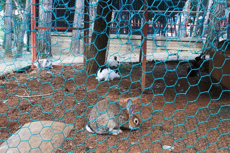 서천 늘푸른캠핑장 시설 사진 1