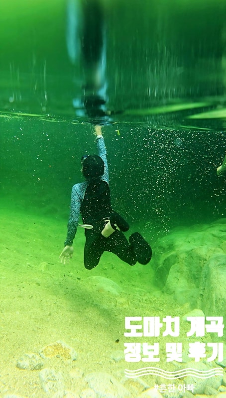 포천 숲속도마치계곡 캠핑장 (가는 법, 주차, 요금 등)후기 및 정보