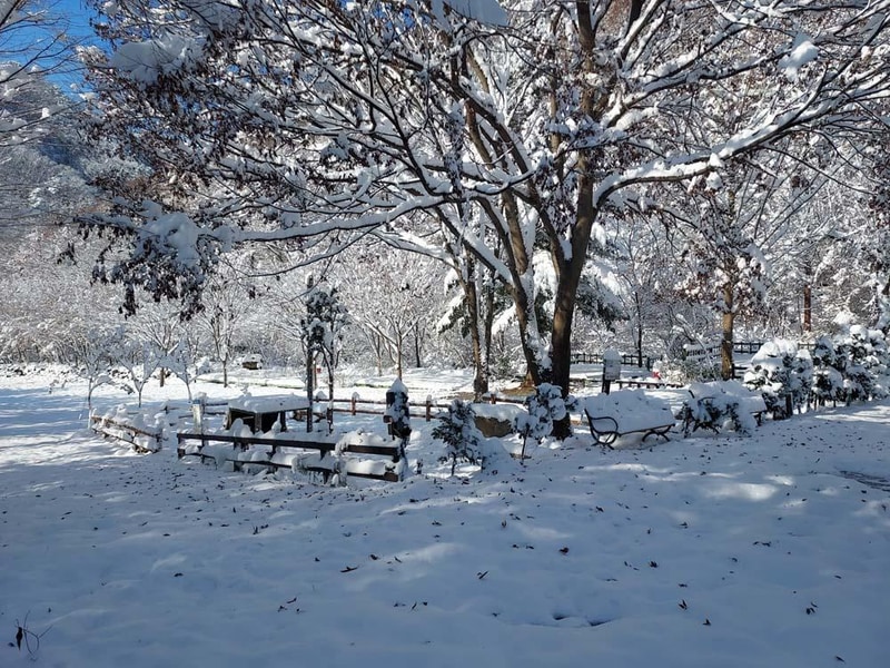 횡성산울림오토캠핑장 시설 사진 38