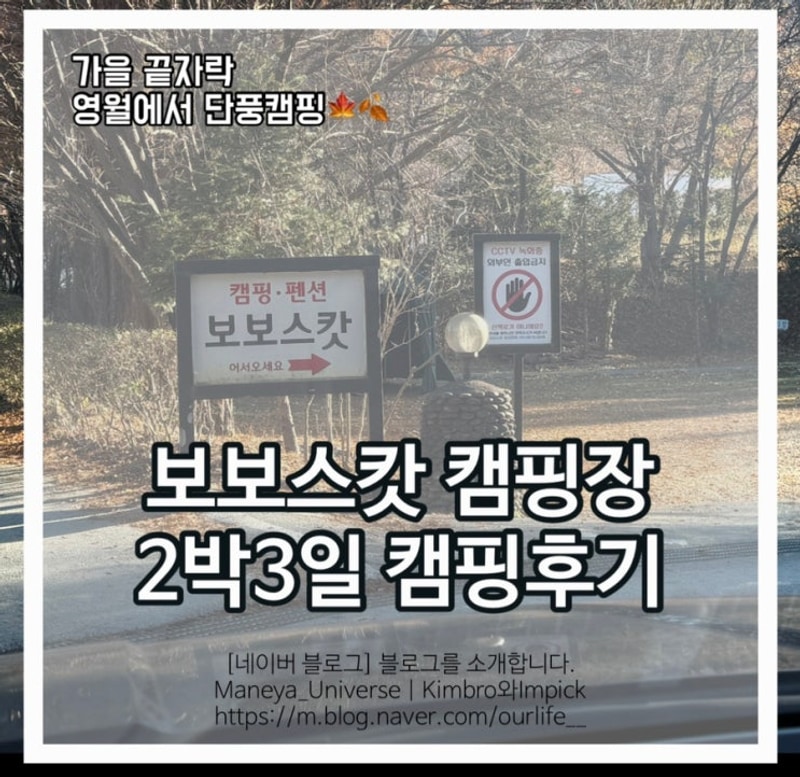 영월 캠핑장 추천 보보스캇 캠핑장 가을 끝자락과 함께한 캠핑