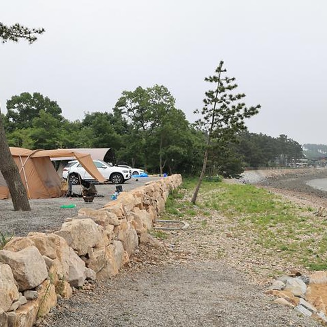 태안머드오토캠핑