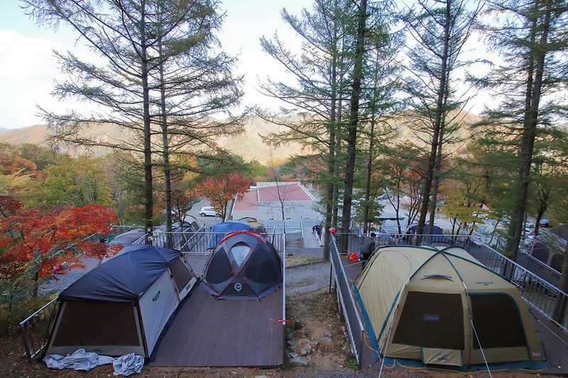 문복산 캠핑장 시설 사진 7