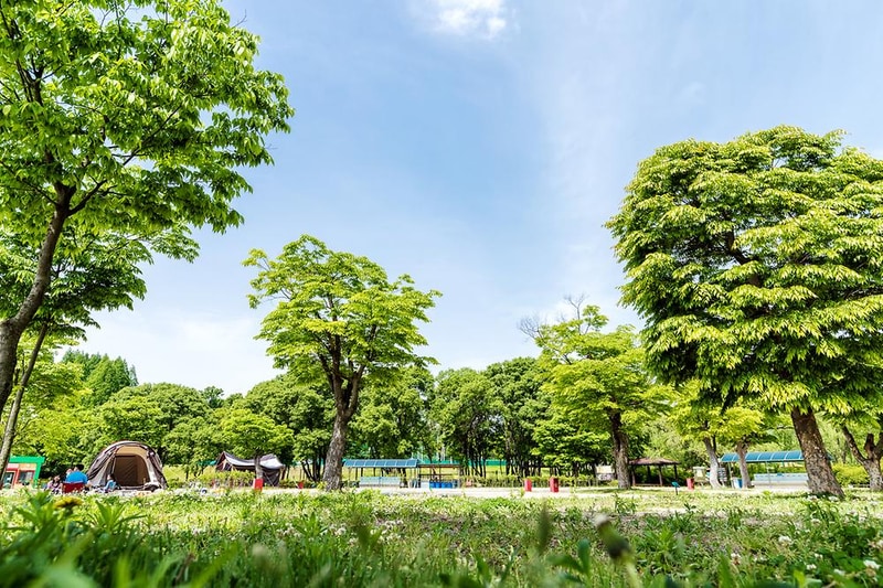 독립기념관 캠핑장 시설 사진 27