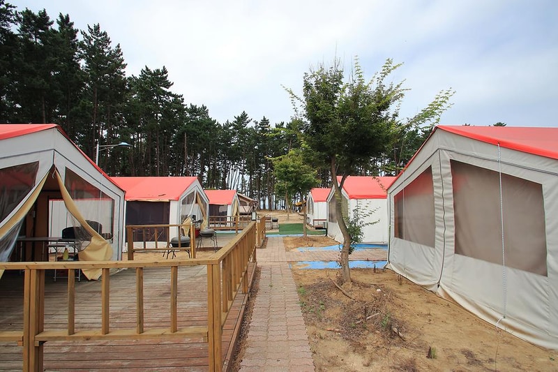 마검포 힐링캠핑장 시설 사진 15