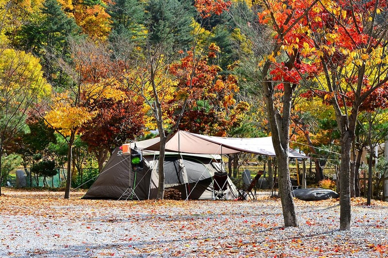 홀리데이캠핑장 시설 사진 13