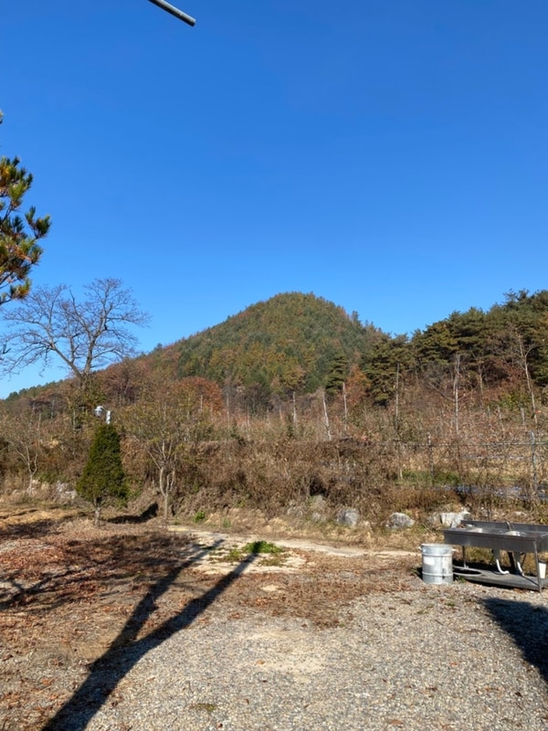 캠핑14ㅣ 청주옥화포시즌캠핑장ㅣ가을1ㅣ오랜만에 효도캠