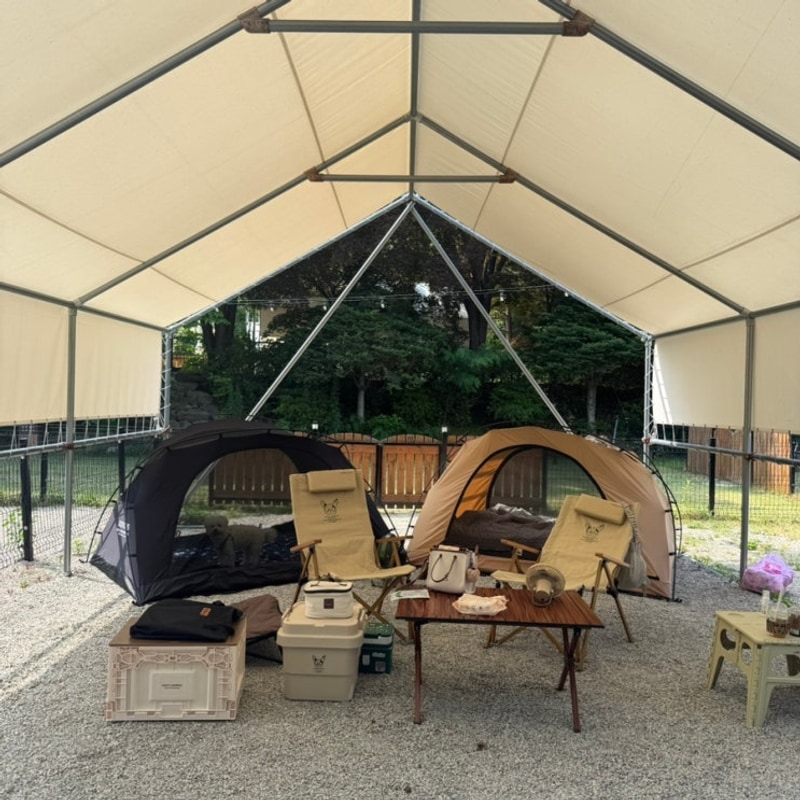 44.양구 민트초코캠핑장