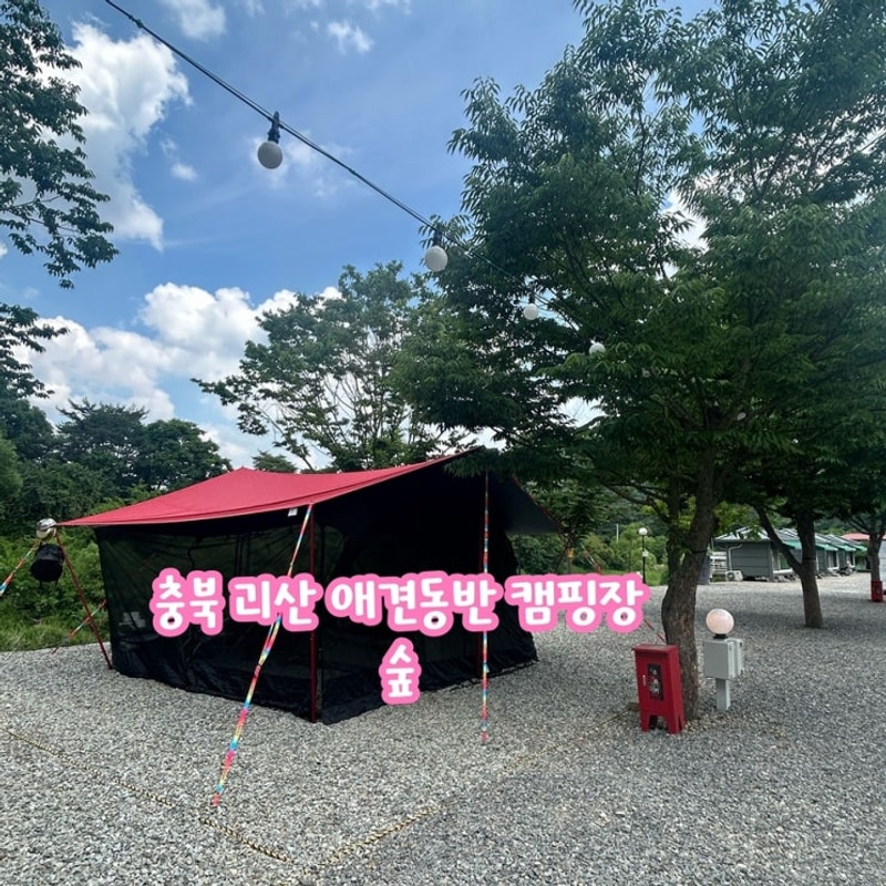 [숲캠핑장] 충북 괴산 애견 동반 가능한 물가 앞 소규모 캠핑장...