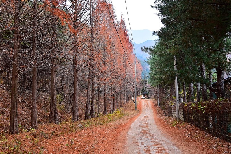 국망봉 자연휴양림캠핑장 시설 사진 6