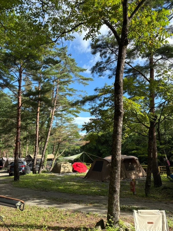 여름캠핑 나는 법 (양양 갈천 오토캠핑장 2박3일)