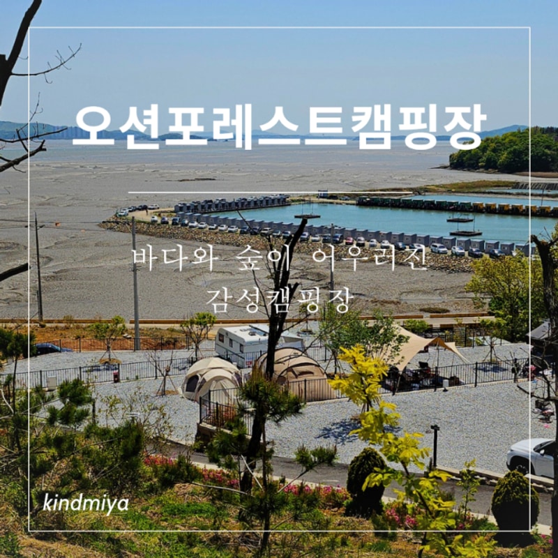 오션포레스트캠핑장 : 강화 동검도 신생 캠핑장