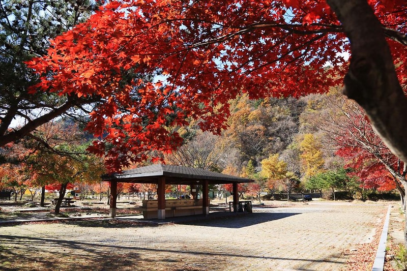 달궁자동차야영장 시설 사진 13