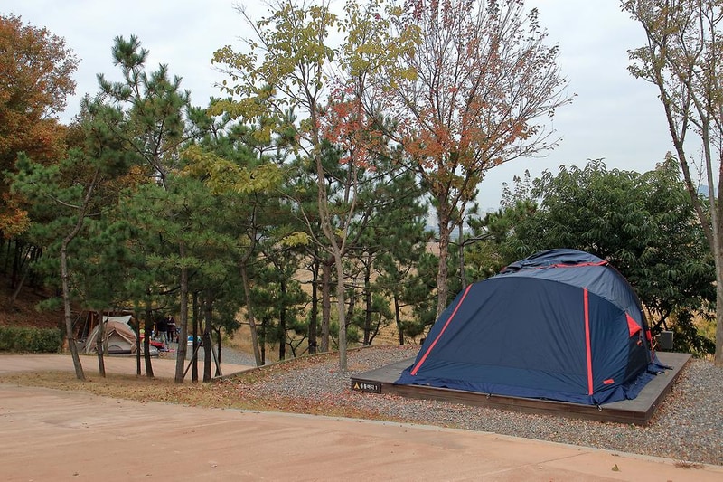 갯골캠핑장 시설 사진 2