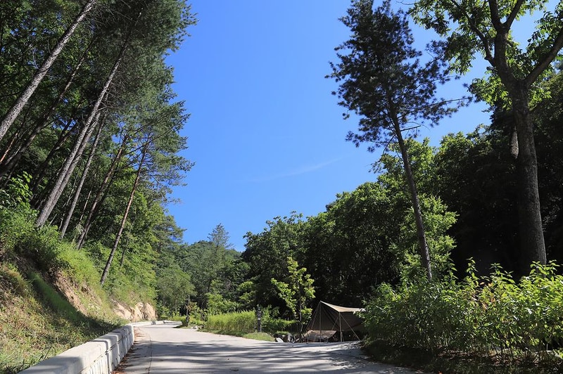 하추자연휴양림 야영장 시설 사진 9