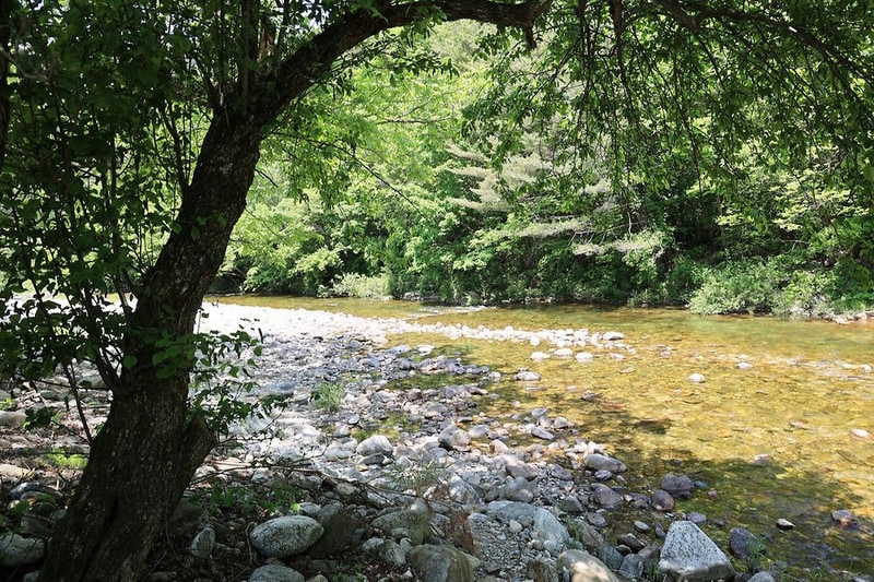 바나나 캠핑장 시설 사진 10