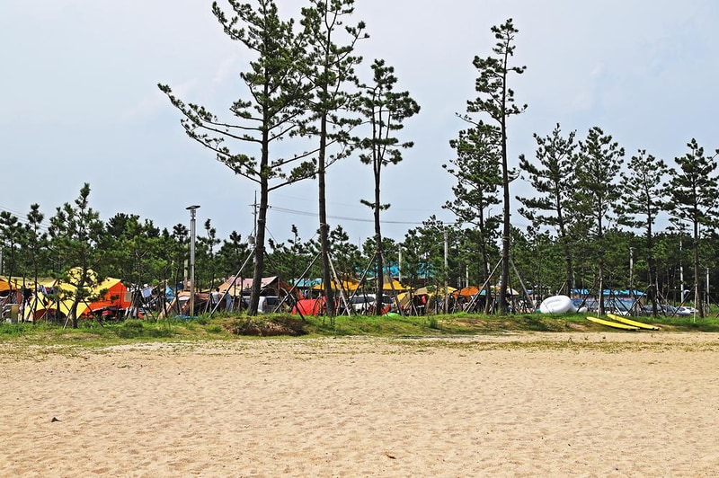 백도오토야영장 시설 사진 7