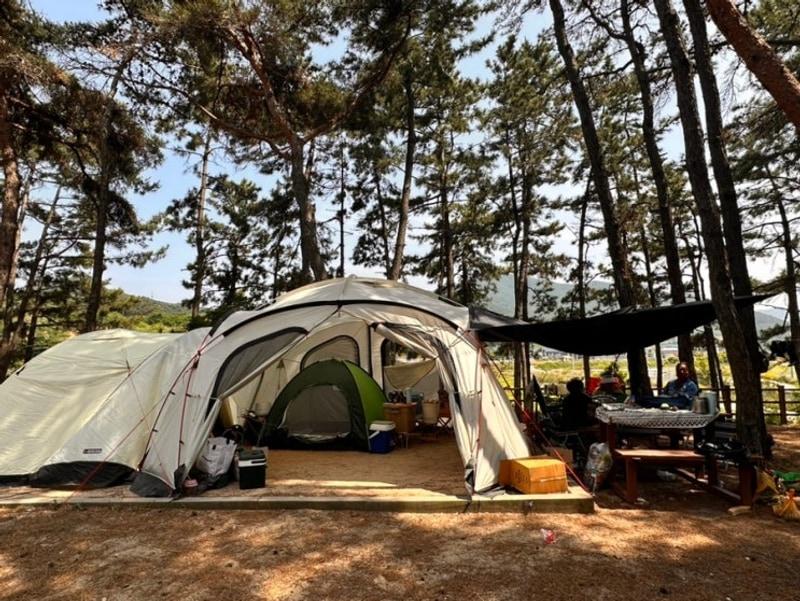 전라도 부안 변산반도국립공원 해수욕장 고사포야영장