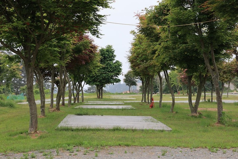 솔향기길야영장 시설 사진 2