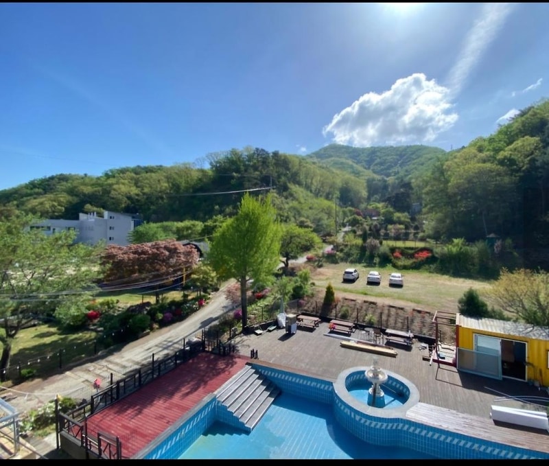 펫밀리애견파크타운 시설 사진 4