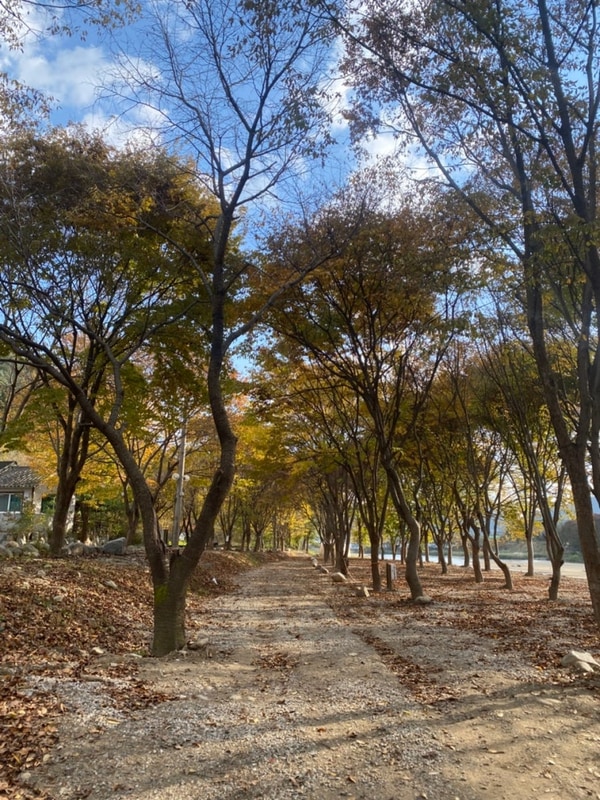 가평 은빛물결캠핑장 할로윈캠핑 다녀온 후기