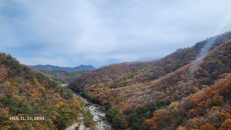 운일암 개미캠핑장
